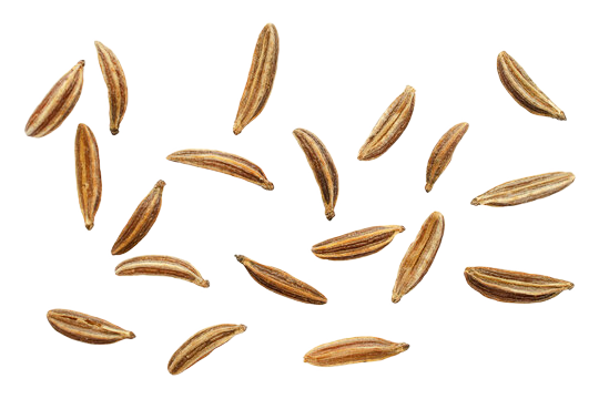 Pure Cumin Seeds