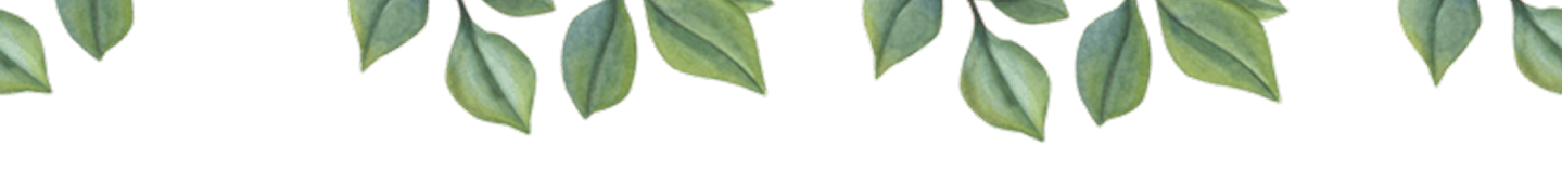 Top Leaf Background